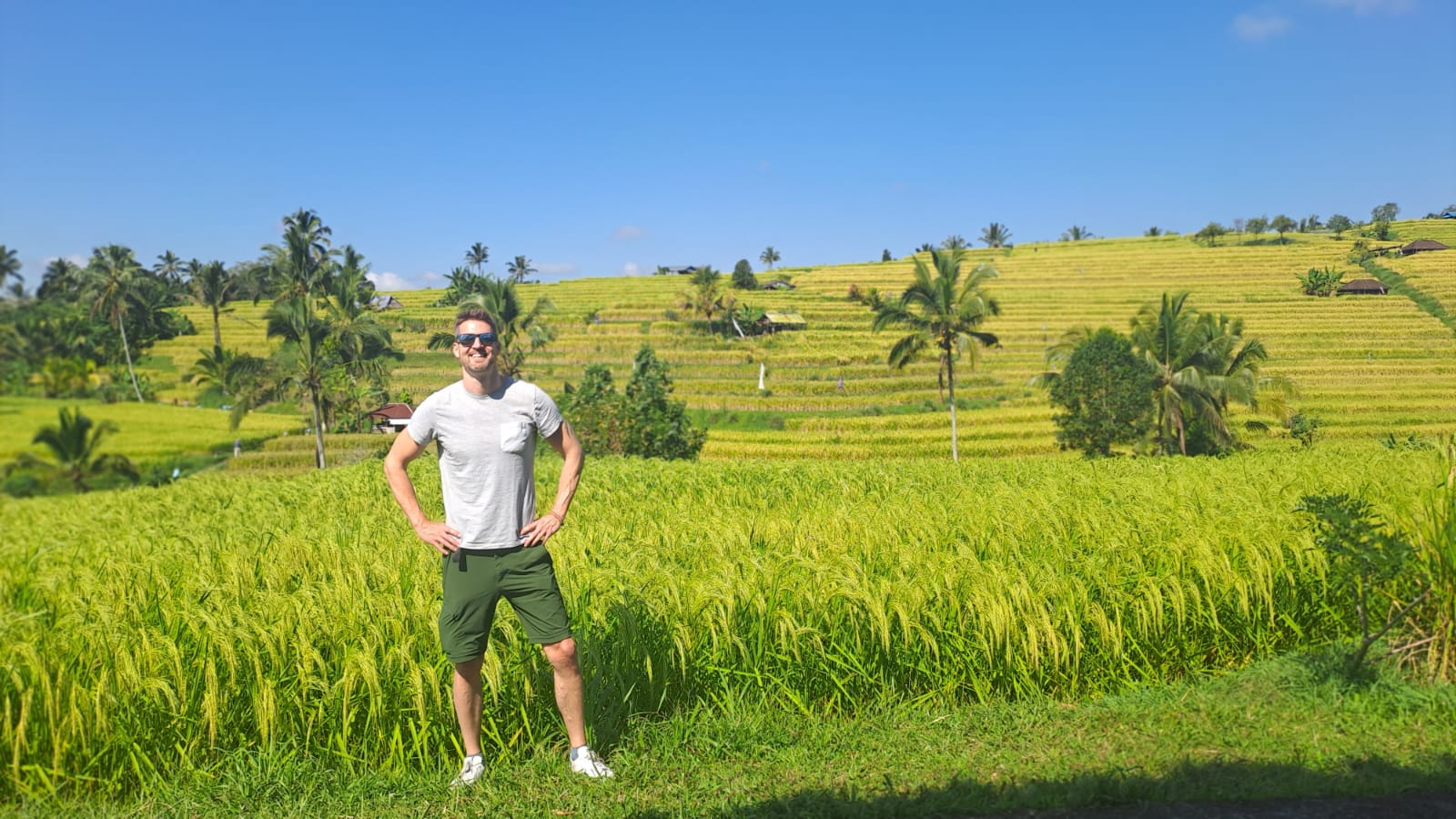Ubud Trip and Bali Swing
